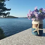 Pansion Alen - Dugi Otok Alojamento de Acomodação e Pequeno-almoço 3*