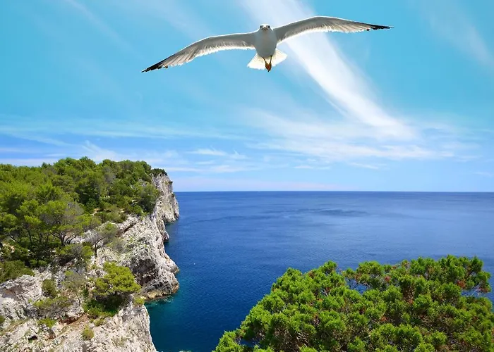 Pansion Alen - Dugi Otok Bed & Breakfast