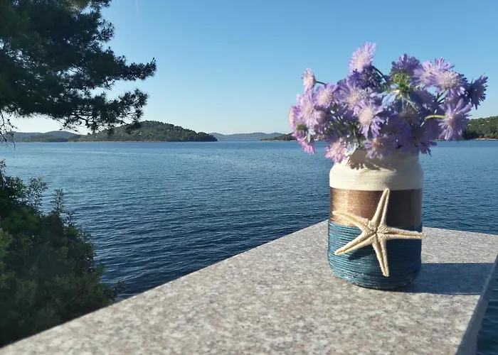 Pansion Alen - Dugi Otok Bed & Breakfast 3*