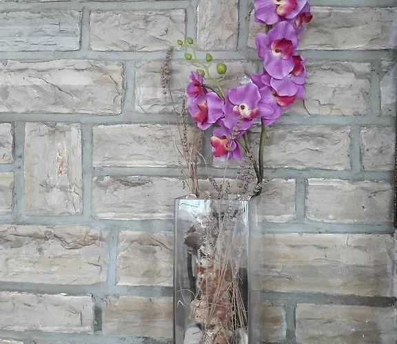 Pansion Alen - Dugi Otok Luka (Dugi Otok)