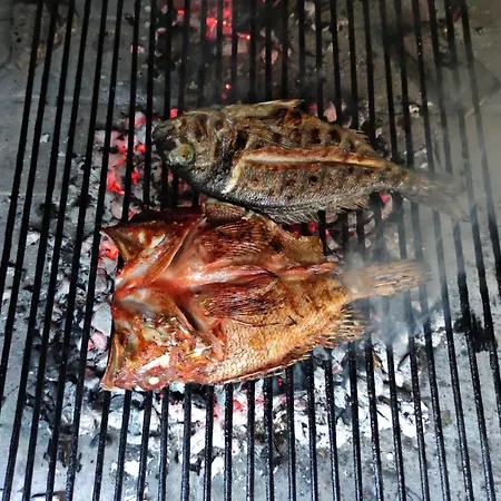 Bed and breakfast Pansion Alen - Dugi Otok