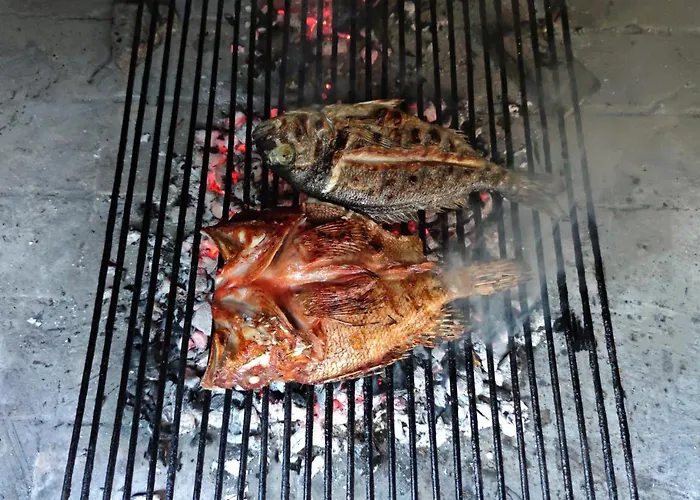 B&B Pansion Alen - Dugi Otok