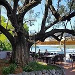 Pansion Alen - Dugi Otok Nocleg ze śniadaniem 3*