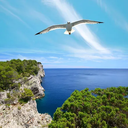 Pansion Alen - Dugi Otok Frühstückspension