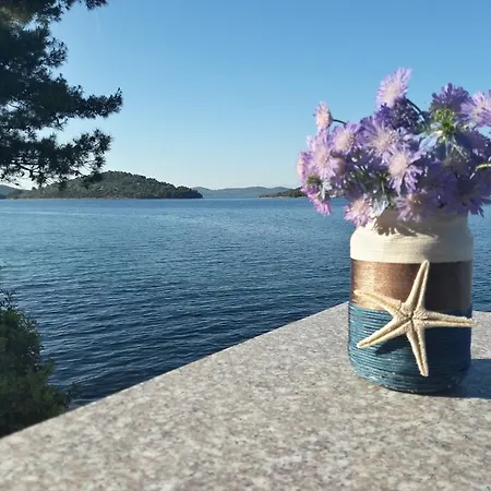 Pansion Alen - Dugi Otok Frühstückspension 3*