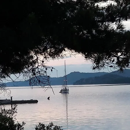 Bed and breakfast Pansion Alen - Dugi Otok Luka (Dugi Otok)